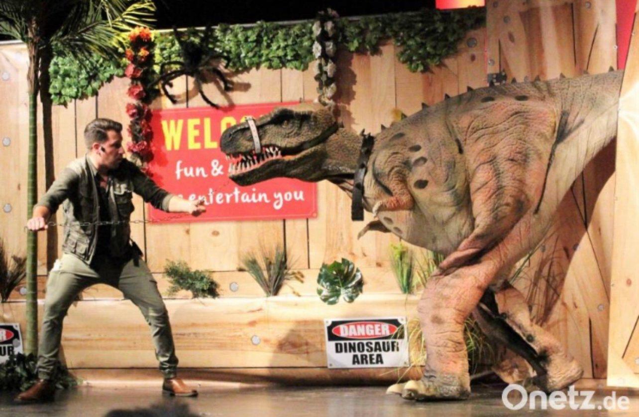 DINO live Show